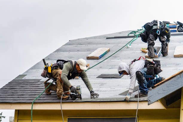 Professional Gutter Installation technician working in Ellendale, ND